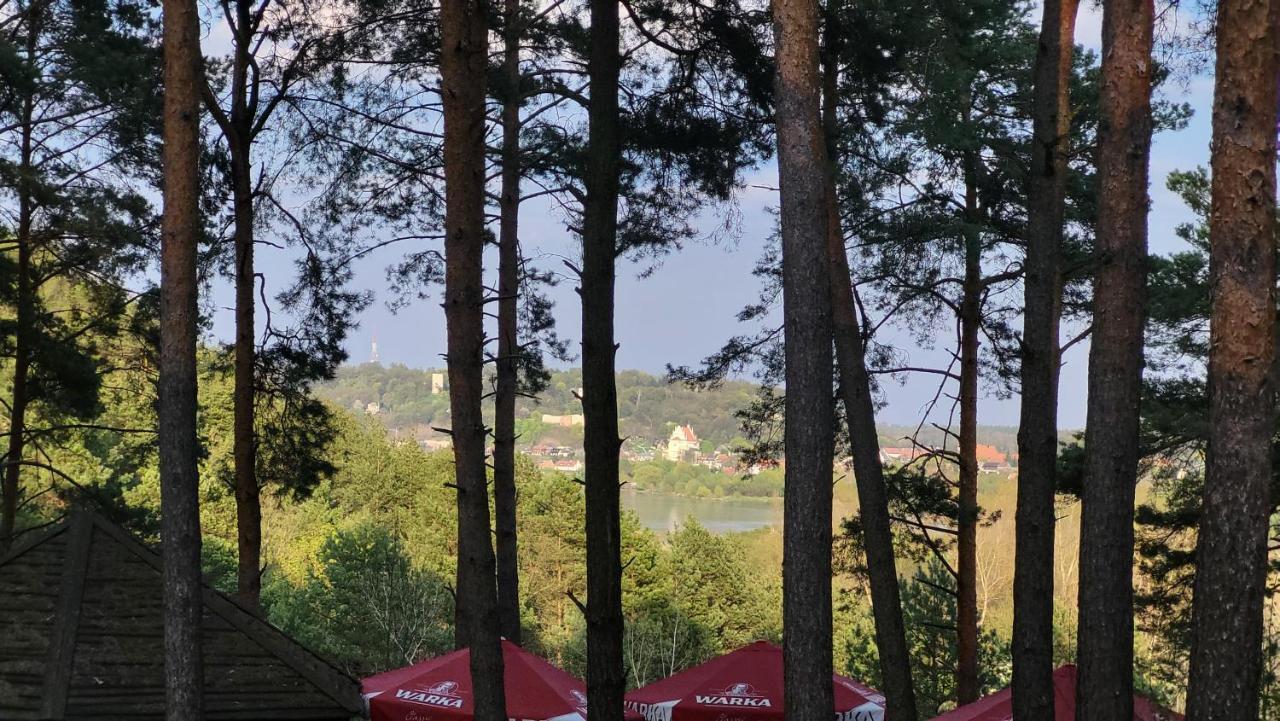 Willa Wellness Janowiec Exteriér fotografie